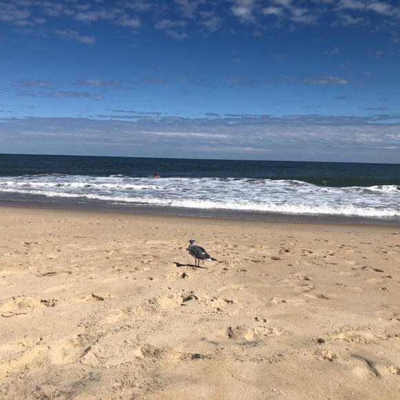 Meet your Posher, Andrea - Picture 4 of 4